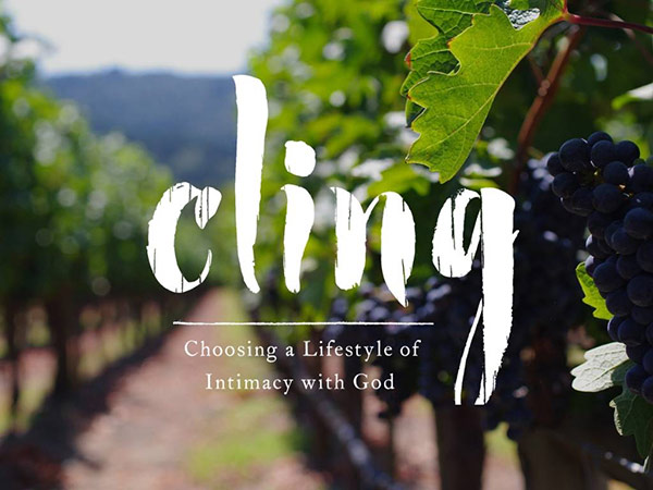 Cling: A 6-Part Bible Study by Author Kim Cash Tate